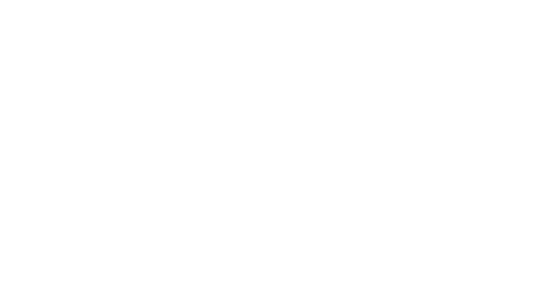 Новая Перестраховочная Компания